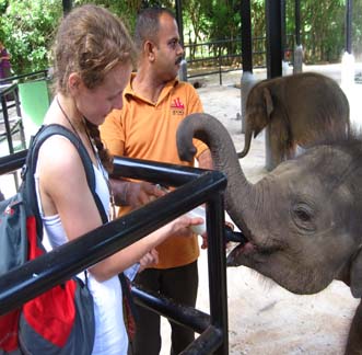 Corporate Responsibility in sri lanka