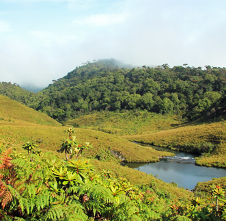 Nuwara Eliya in sri lanka